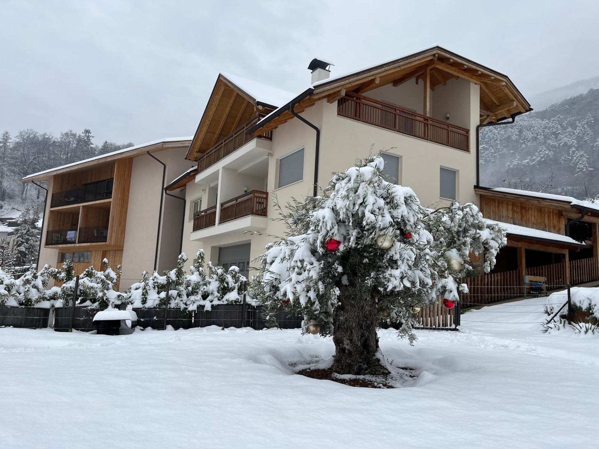 Egarter Apartment Appiano Sulla Strada Del Vino Luaran gambar